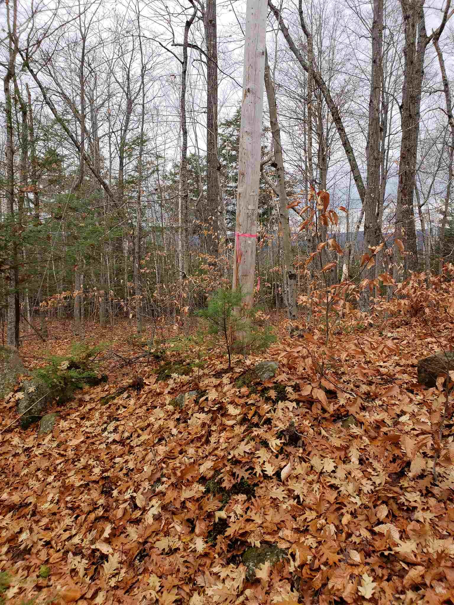 Howard Road Bristol, NH 03222 - Photo 10 of 18 Gallery Image 10
