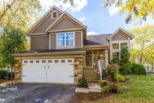 a view of a house with a yard and plants