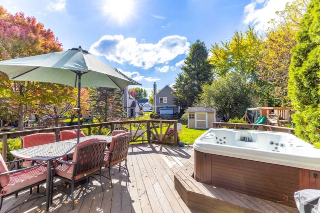 a view of a yard with plants and large trees