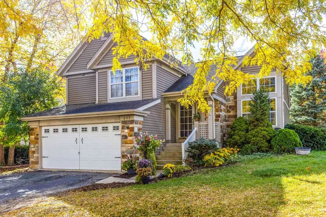 a view of a house with a yard and a tree