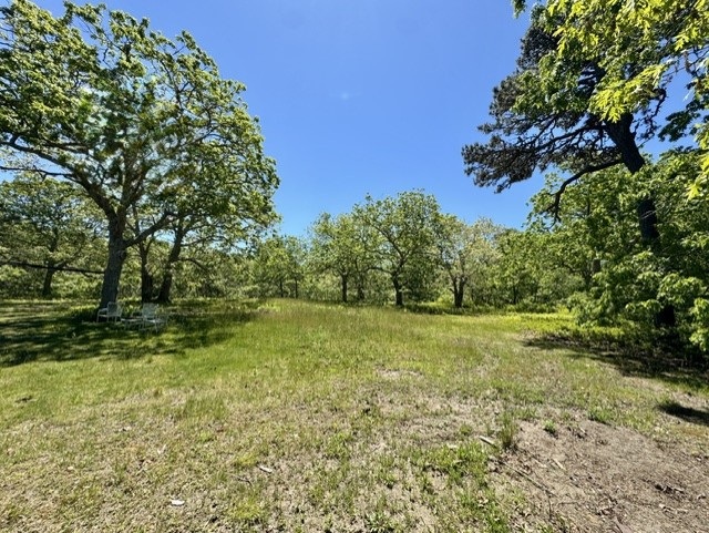 45 Quenames Road Chilmark, MA 02535 - Photo 12 of 13 a view of a yard with a tree