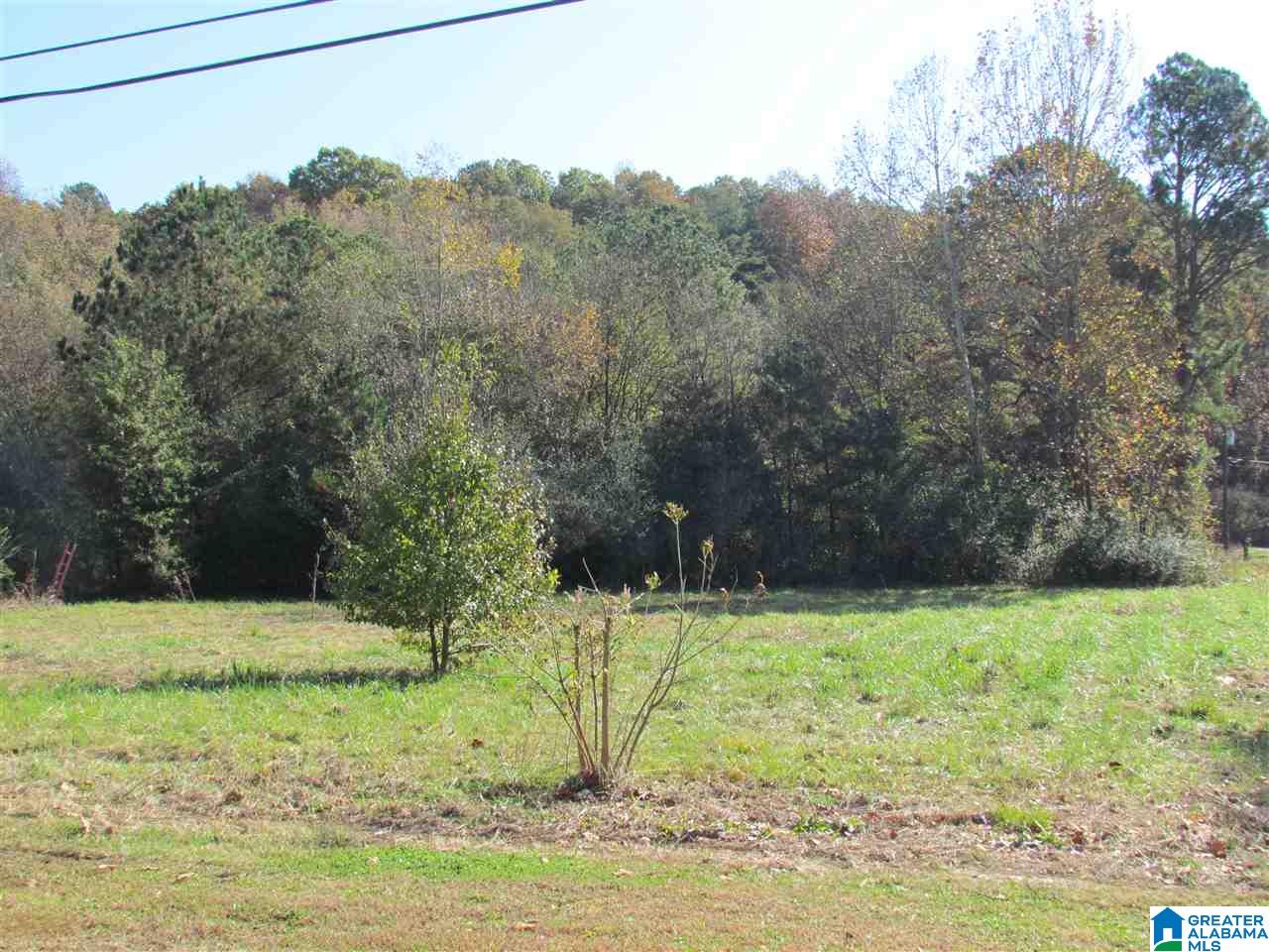 55 Jug Hollow Road Piedmont, AL 36272 - Photo 13 of 19