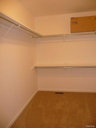32 Oakbridge Drive Rochester, MI 48306 - Photo 20 of 22 Nice Big Closets