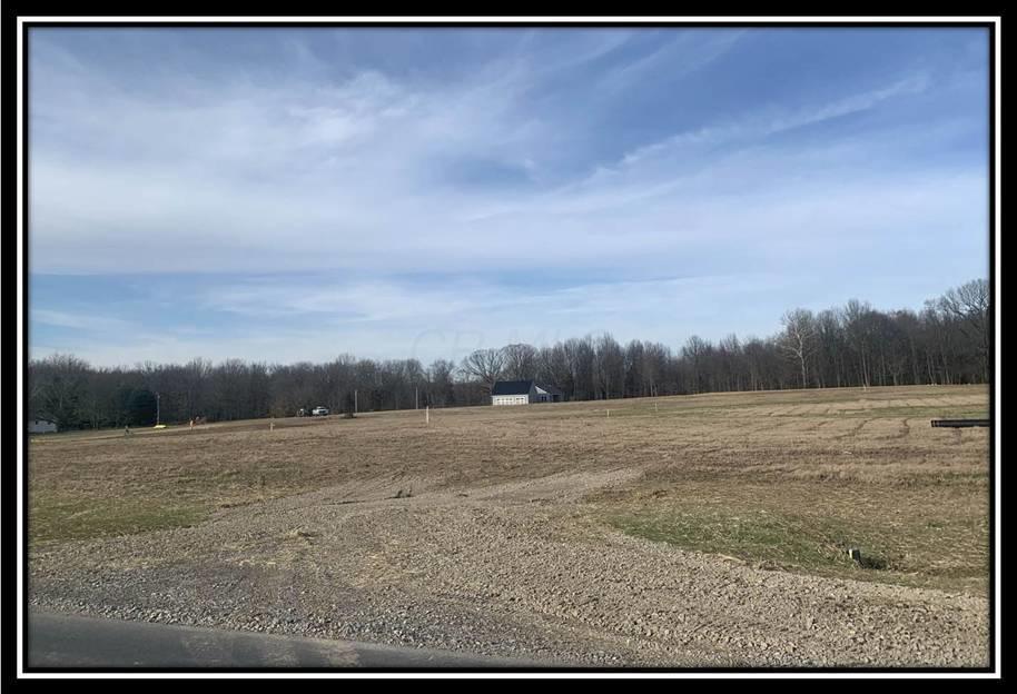 0 Howard Road Sunbury, OH 43074 - Photo 2 of 14 Gallery Image 2