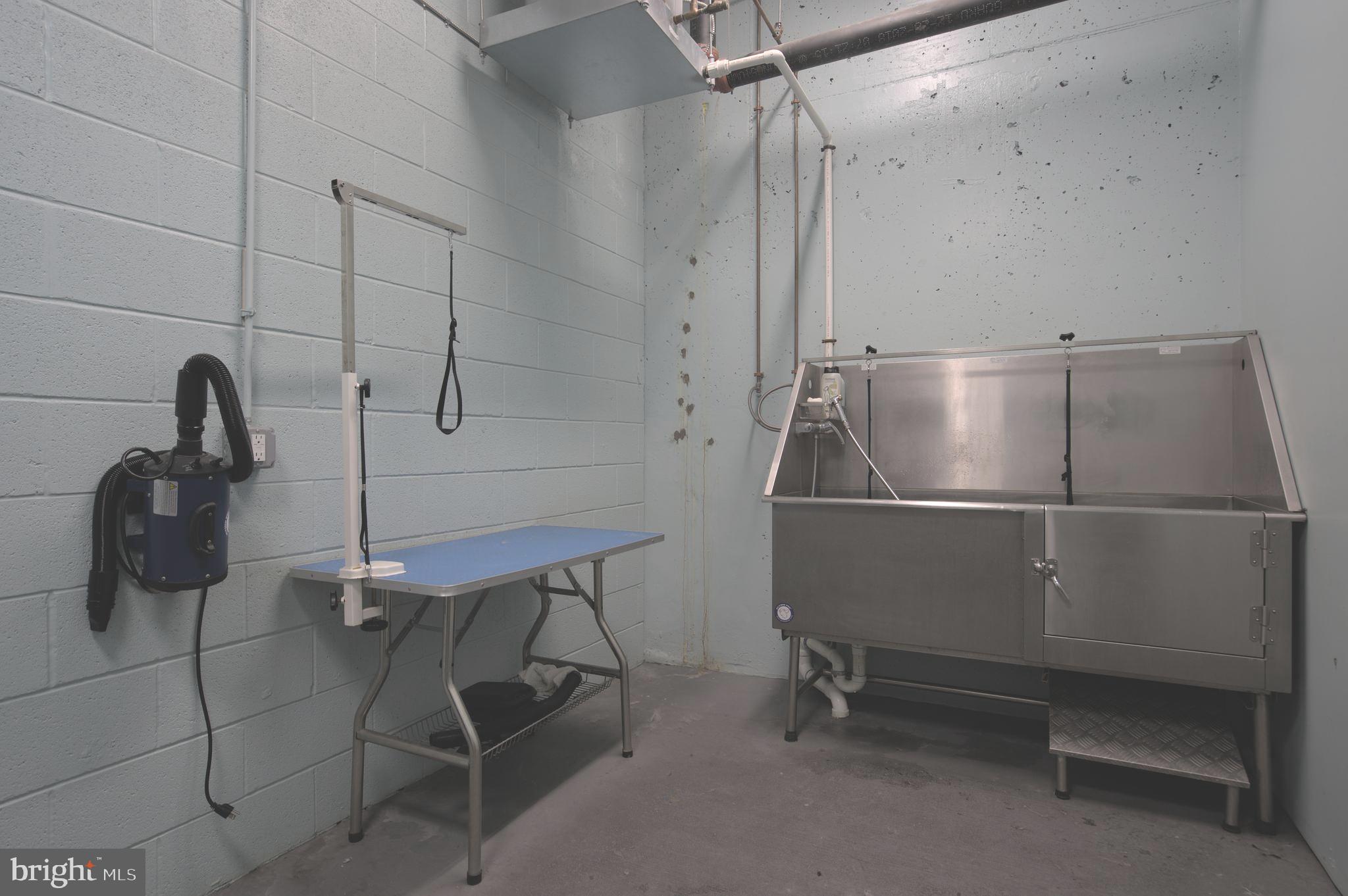 88 V Street Southwest, Unit PH1 Washington, DC 20024 - Photo 65 of 66 Dog washing and grooming station room in P1