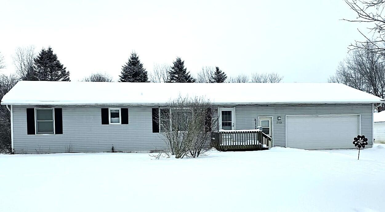 710 Madison Street Bellevue, MI 49021 - Photo 2 of 33 Road view