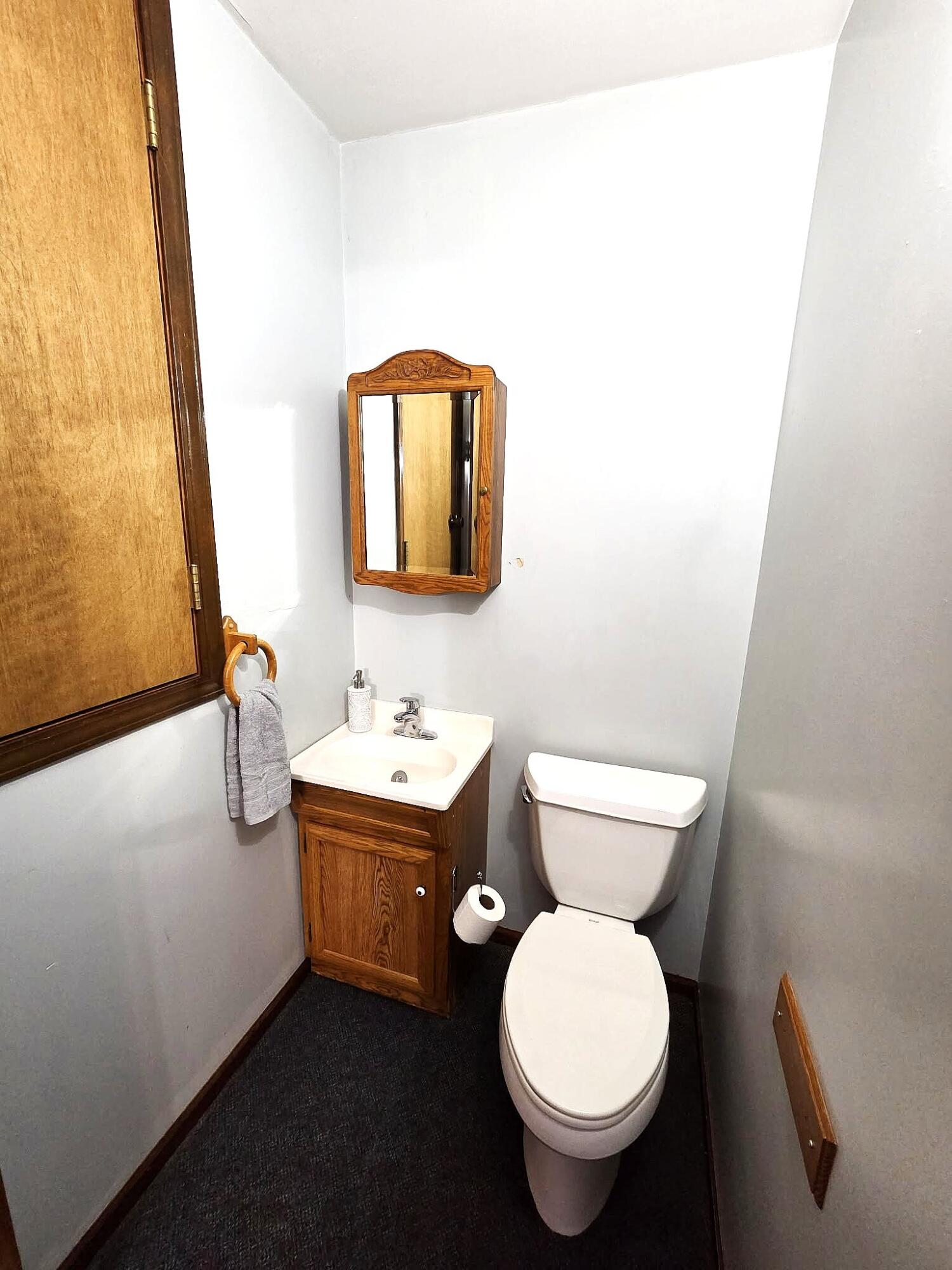 710 Madison Street Bellevue, MI 49021 - Photo 9 of 33 halfbathroom