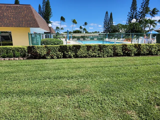 a view of a back yard of the house