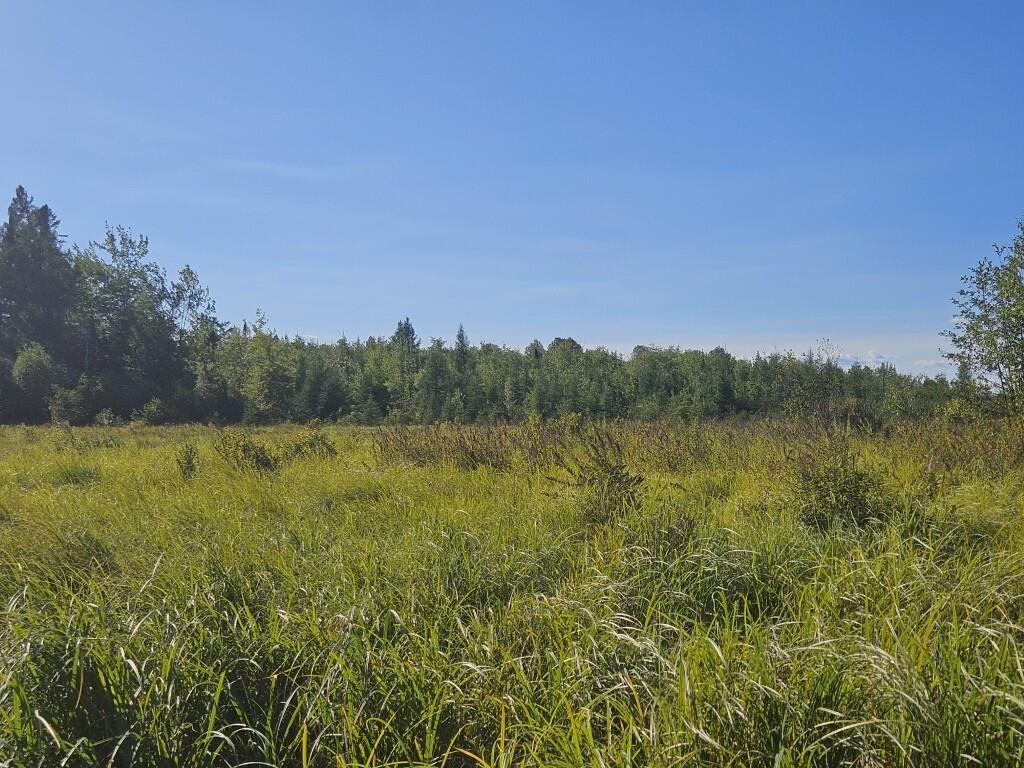 M11-l1 Wilder Davis Road Hudson, ME 04449 - Photo 34 of 53 20260907_162019