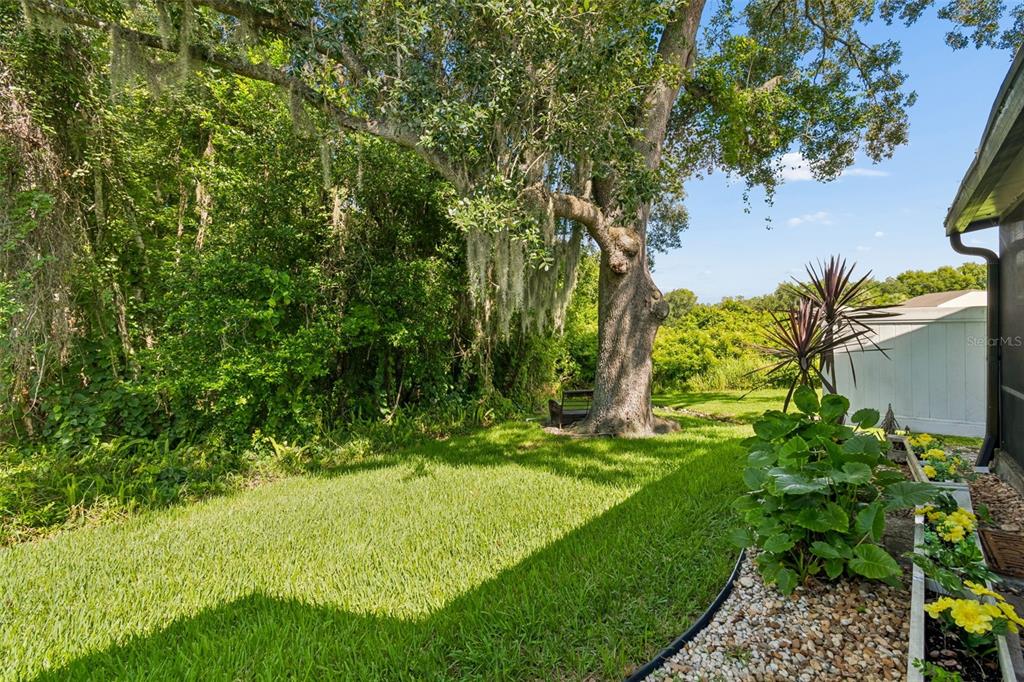 5100 Burchette Road, Unit 3207 Tampa, FL 33647 - Photo 41 of 62 Gallery Image 41