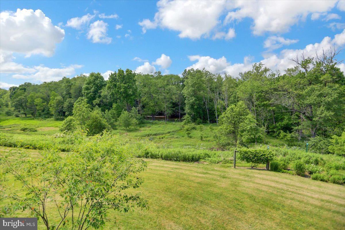 2111 Mountain Road Newville, PA 17241 - Photo 41 of 82 Gallery Image 41