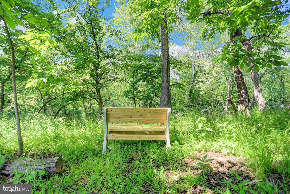 2111 Mountain Road Newville, PA 17241 - Photo 61 of 82 Gallery Image 61