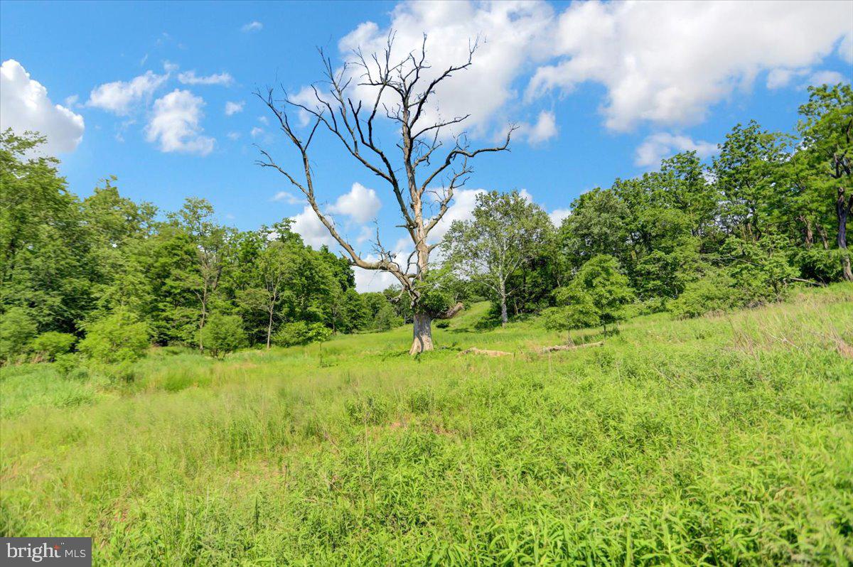 2111 Mountain Road Newville, PA 17241 - Photo 62 of 82 Gallery Image 62