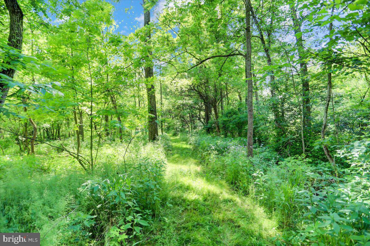 2111 Mountain Road Newville, PA 17241 - Photo 64 of 82 Gallery Image 64