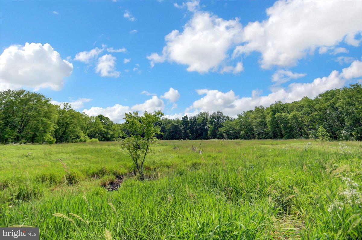2111 Mountain Road Newville, PA 17241 - Photo 70 of 82 Gallery Image 70