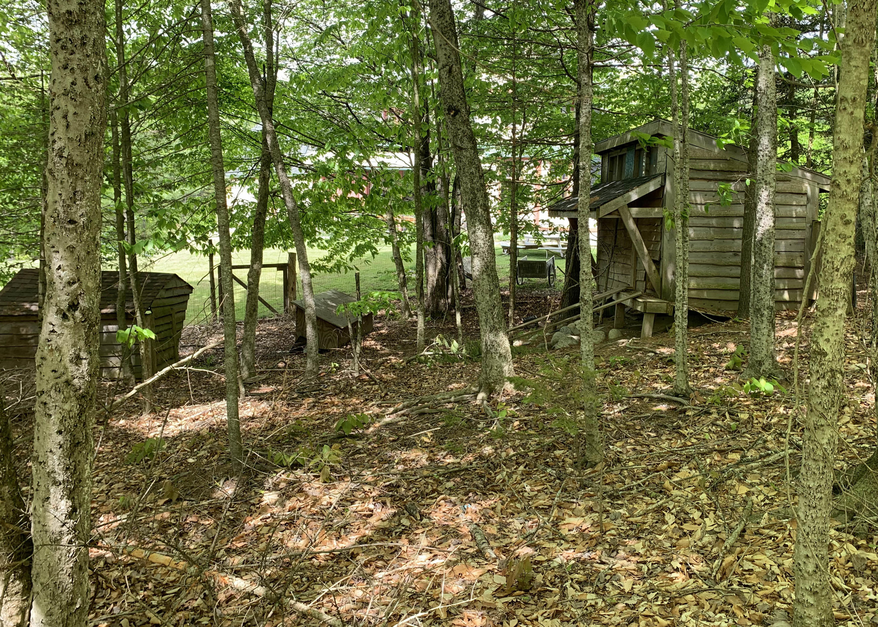 1571 Mariaville Road Ellsworth, ME 04605 - Photo 80 of 82 8m