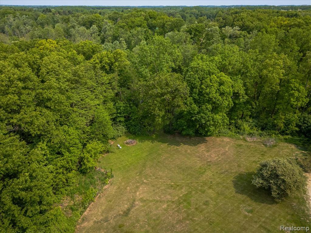 15510 Lillie Road Byron, MI 48418 - Photo 46 of 58 Gallery Image 46