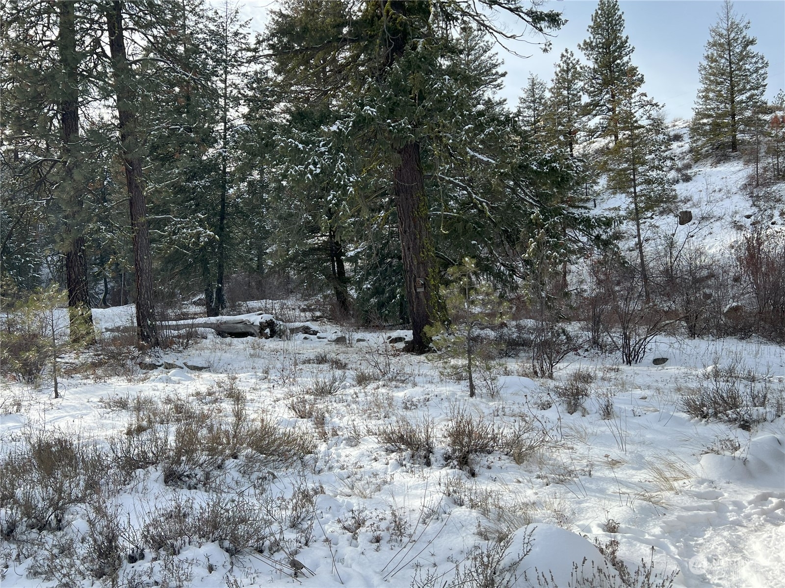 30 Left Fork Wolf Creek Road Winthrop, WA 98862 - Photo 35 of 40 a view of outdoor space with trees