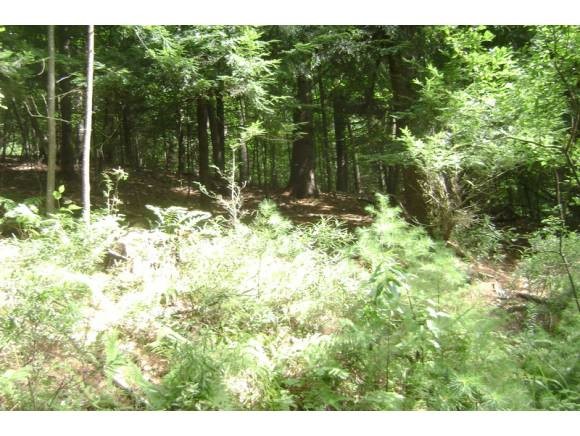 0 Beaver Pond Road Lyman, NH 03585 - Photo 1 of 7