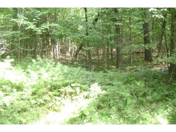 0 Beaver Pond Road Lyman, NH 03585 - Photo 4 of 7