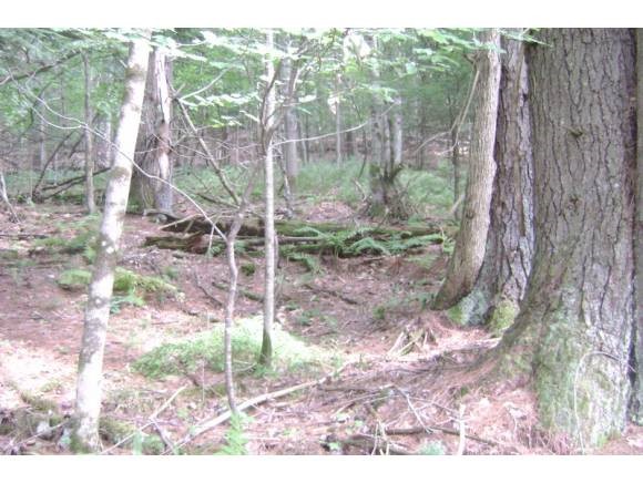 0 Beaver Pond Road Lyman, NH 03585 - Photo 5 of 7