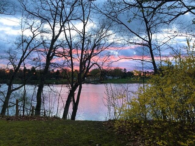 58665 Palmer Point Road Colon, MI 49040 - Photo 12 of 13 p 4