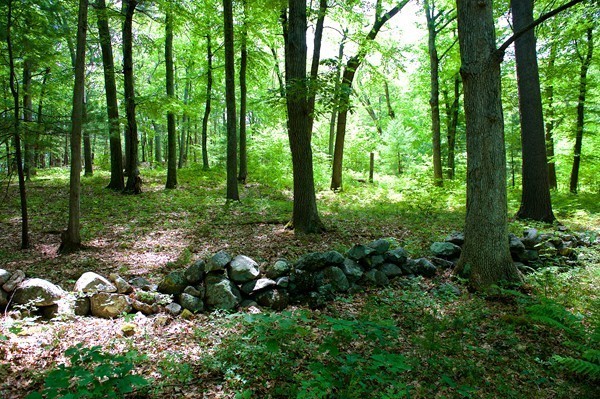 35 Huckleberry Hill Road Lincoln, MA 01773 - Photo 10 of 20 Gallery Image 10