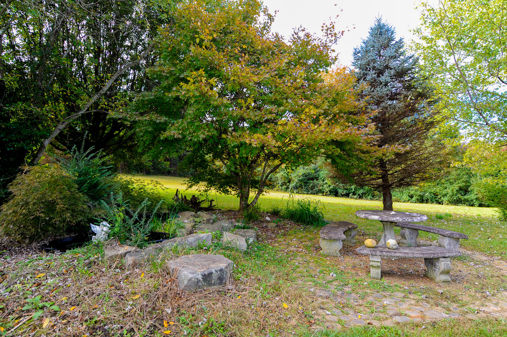 4104 Meredith Road Knoxville, TN 37921 - Photo 21 of 27 21