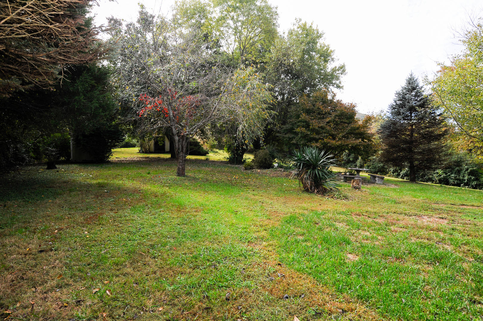 4104 Meredith Road Knoxville, TN 37921 - Photo 24 of 27 24
