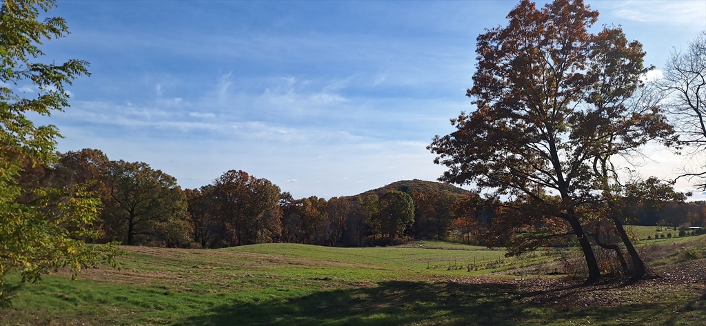 3 Mountain Road Holyoke, MA 01040 - Photo 5 of 12