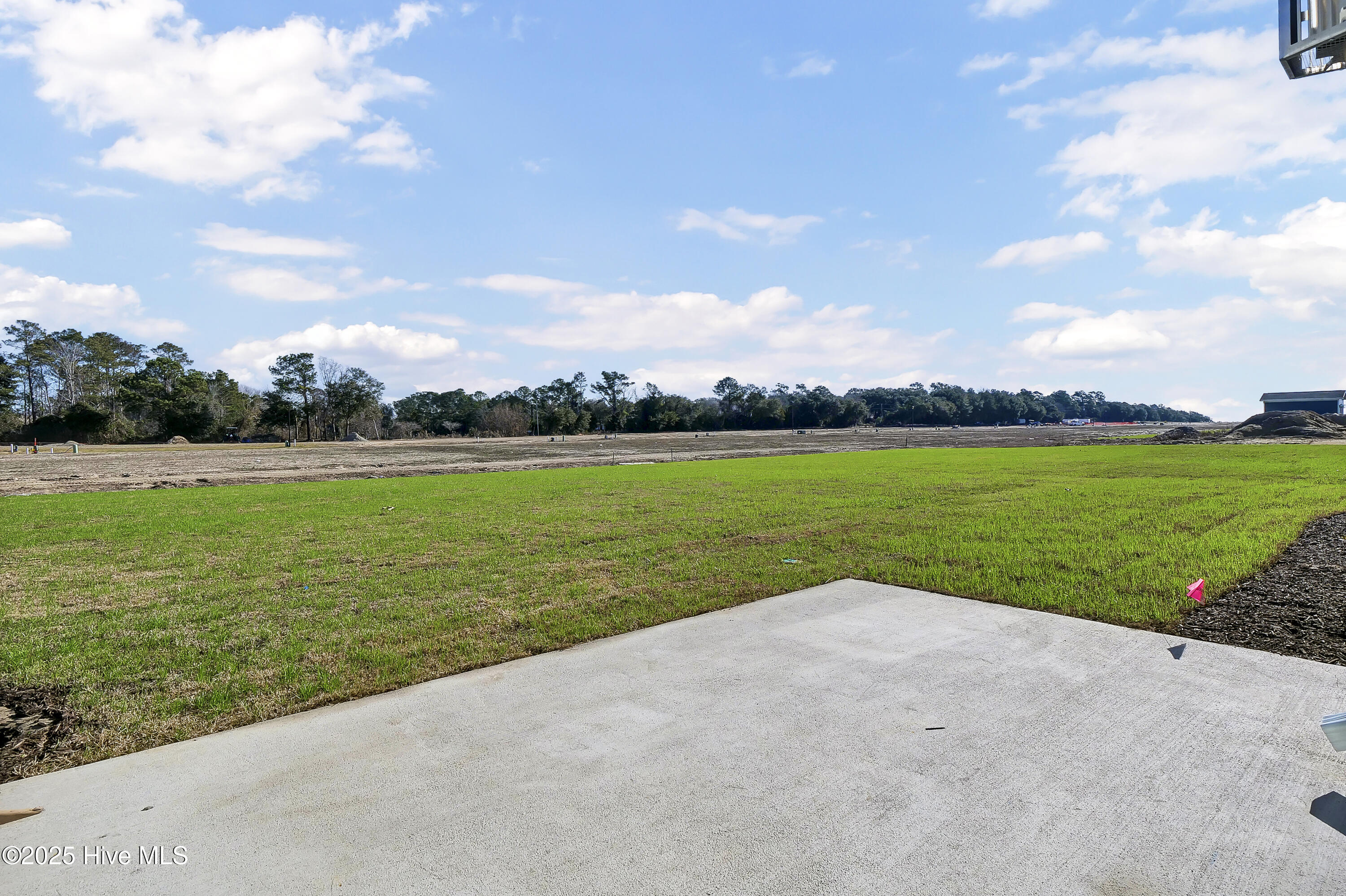 131 Planters Walk Hampstead, NC 28443 - Photo 36 of 36 P1022106