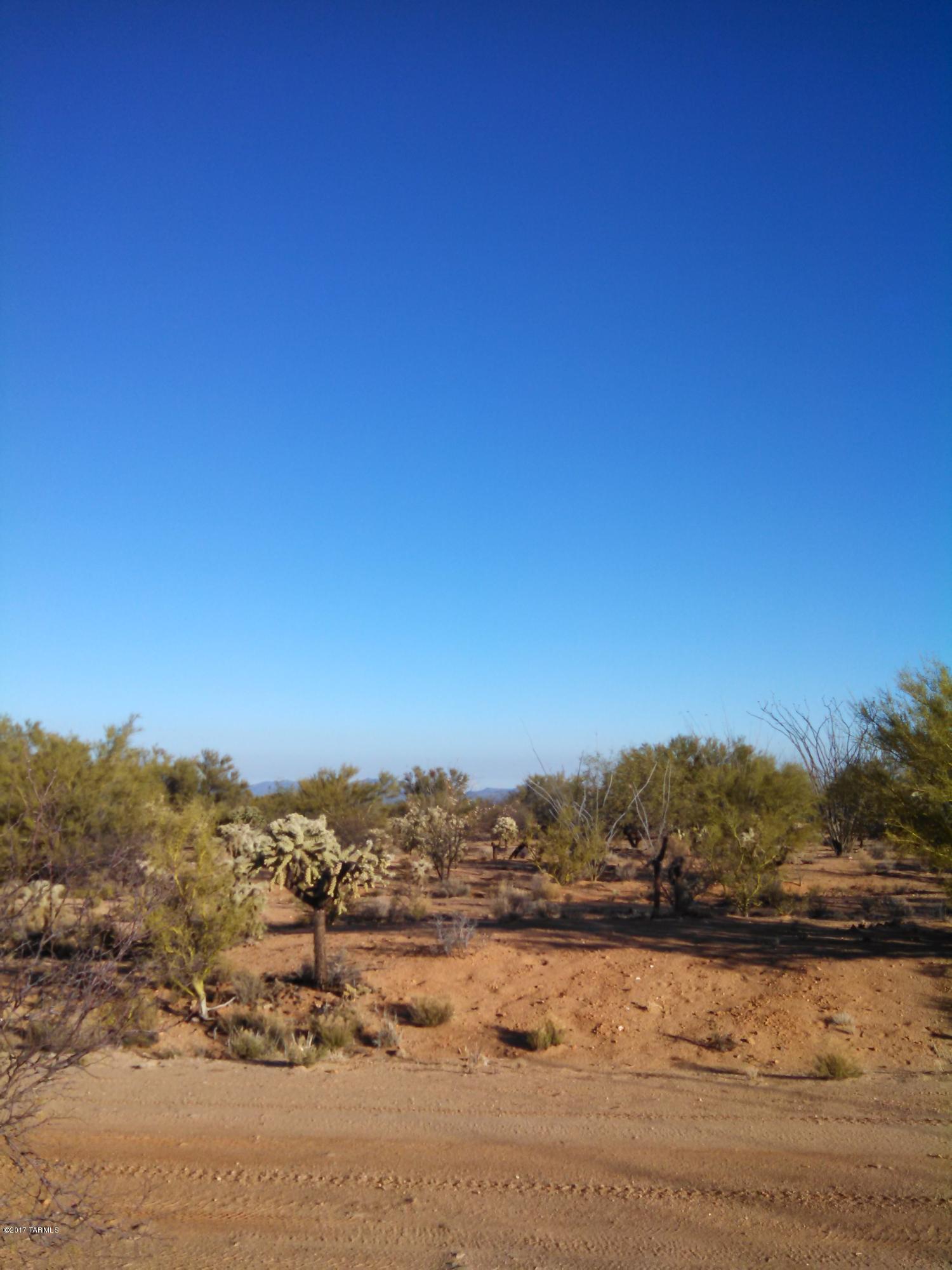 0 West Phillips Road, Unit 302 Tucson, AZ 85736 - Photo 3 of 10 Gallery Image 3