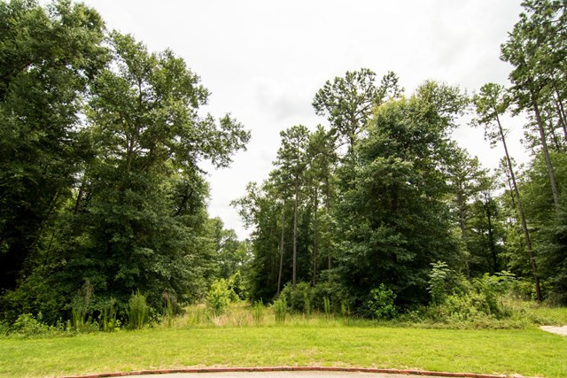 126 Ridge Pointe Drive Waynesboro, GA 30830 - Photo 1 of 10 Main View