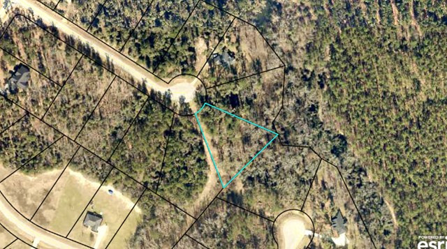 126 Ridge Pointe Drive Waynesboro, GA 30830 - Photo 2 of 10 Lot 16 is a wooded 1.11 acre cul-de-sac tract