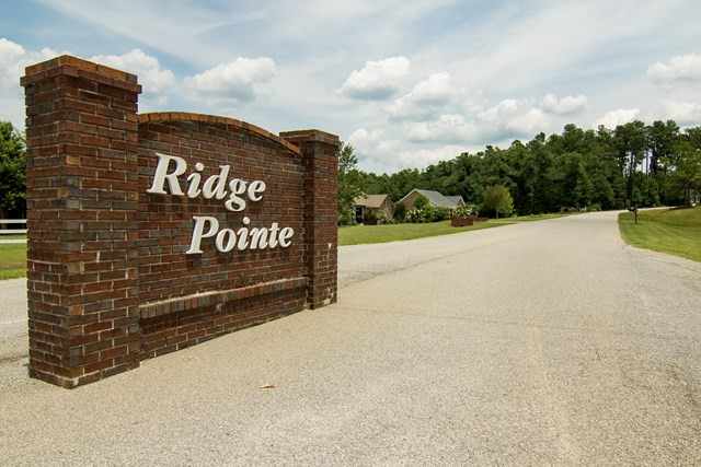 126 Ridge Pointe Drive Waynesboro, GA 30830 - Photo 3 of 10 Ridge Pointe is a quiet, country neighborhood loca