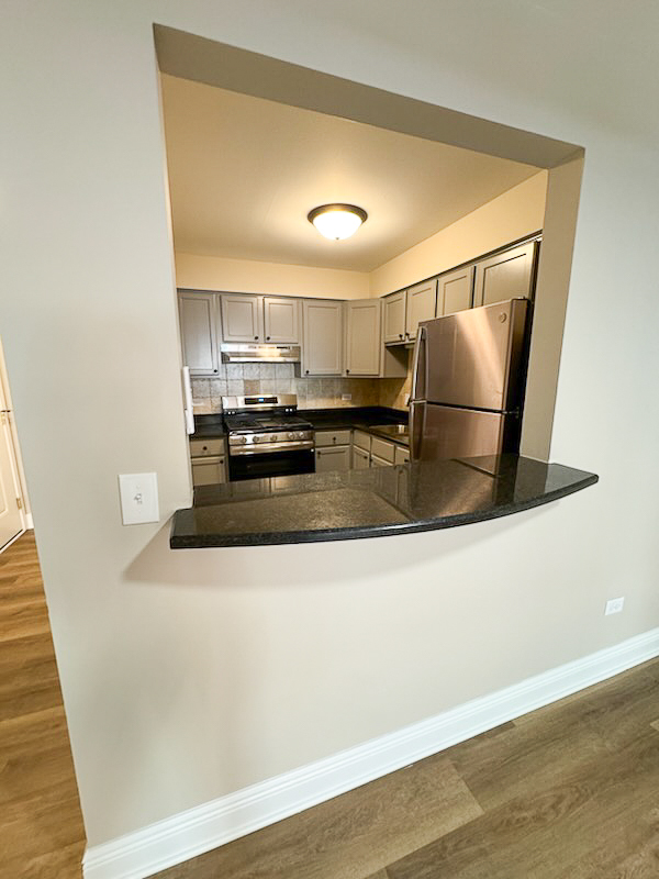 677 South River Road, Unit 2D Des Plaines, IL 60016 - Photo 7 of 14