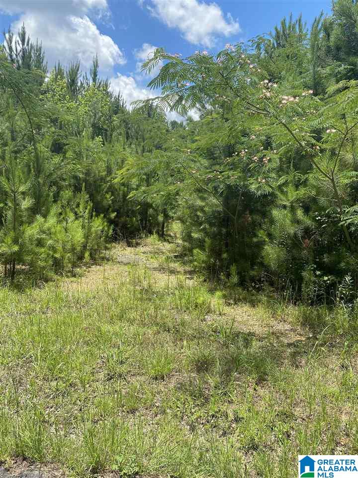 4216 Alexander Road, Unit 1 & 2 Quinton, AL 35130 - Photo 3 of 3