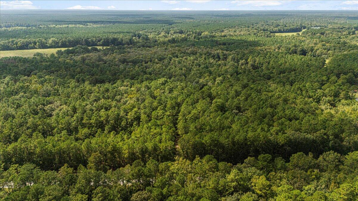 130 Tygerpaw Trail St. Stephen, SC 29479 - Photo 11 of 23 09-DJI_20251002133553_0374_D