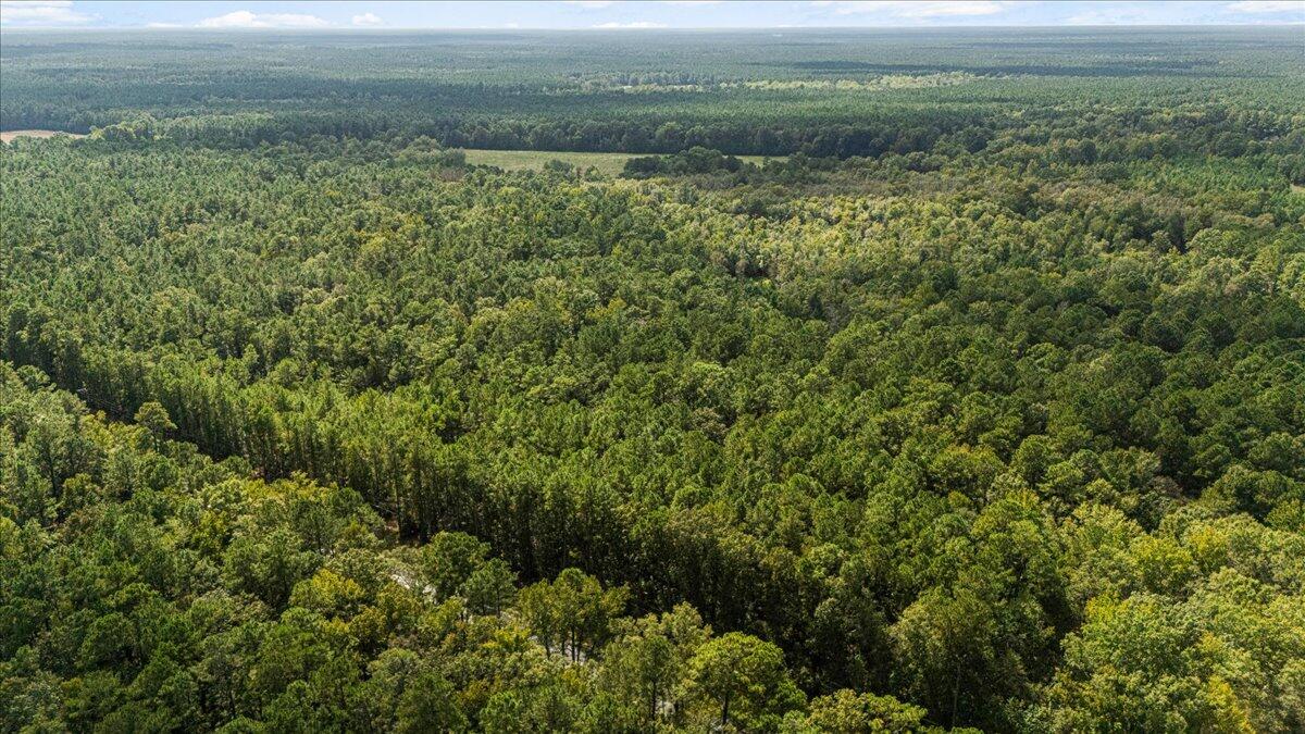 130 Tygerpaw Trail St. Stephen, SC 29479 - Photo 12 of 23 10-DJI_20251002133621_0377_D