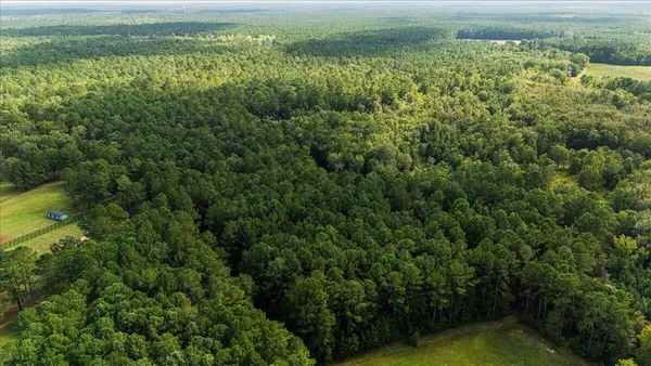 $350,000 | 130 Tygerpaw Trail, St. Stephen, SC 29479