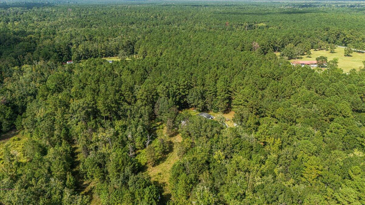 130 Tygerpaw Trail St. Stephen, SC 29479 - Photo 15 of 23 14-DJI_20251002134036_0389_D