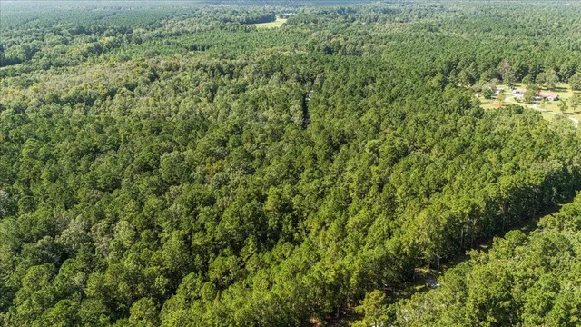 $350,000 | 130 Tygerpaw Trail, St. Stephen, SC 29479