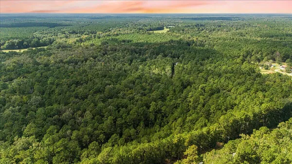 $350,000 | 130 Tygerpaw Trail, St. Stephen, SC 29479