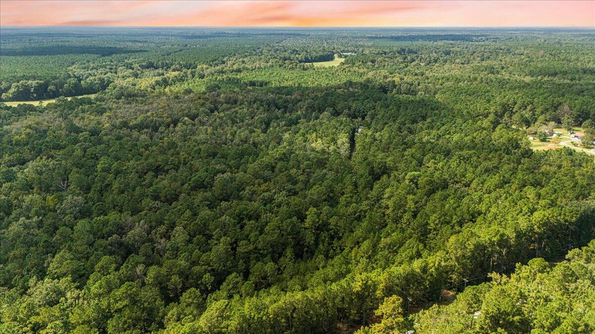 130 Tygerpaw Trail St. Stephen, SC 29479 - Photo 4 of 23 02-DJI_20251002133532_0371_D copy