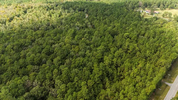 $350,000 | 130 Tygerpaw Trail, St. Stephen, SC 29479