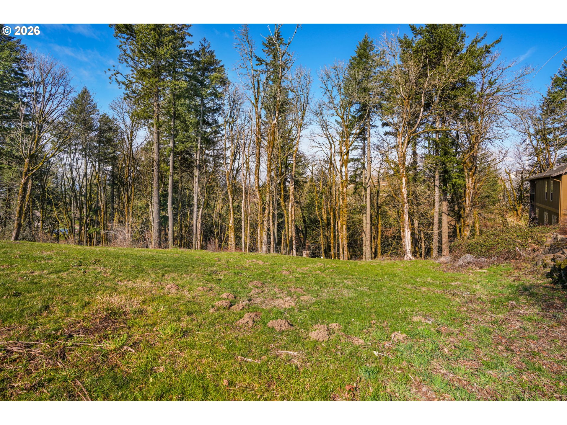 3011 Northwest 13th Circle Camas, WA 98607 - Photo 4 of 20 a view of big yard