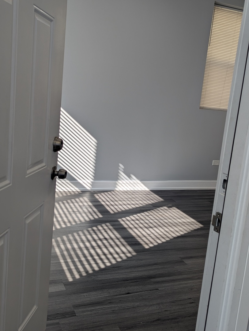 3925 South Indiana Avenue, Unit 3 Chicago, IL 60653 - Photo 3 of 11