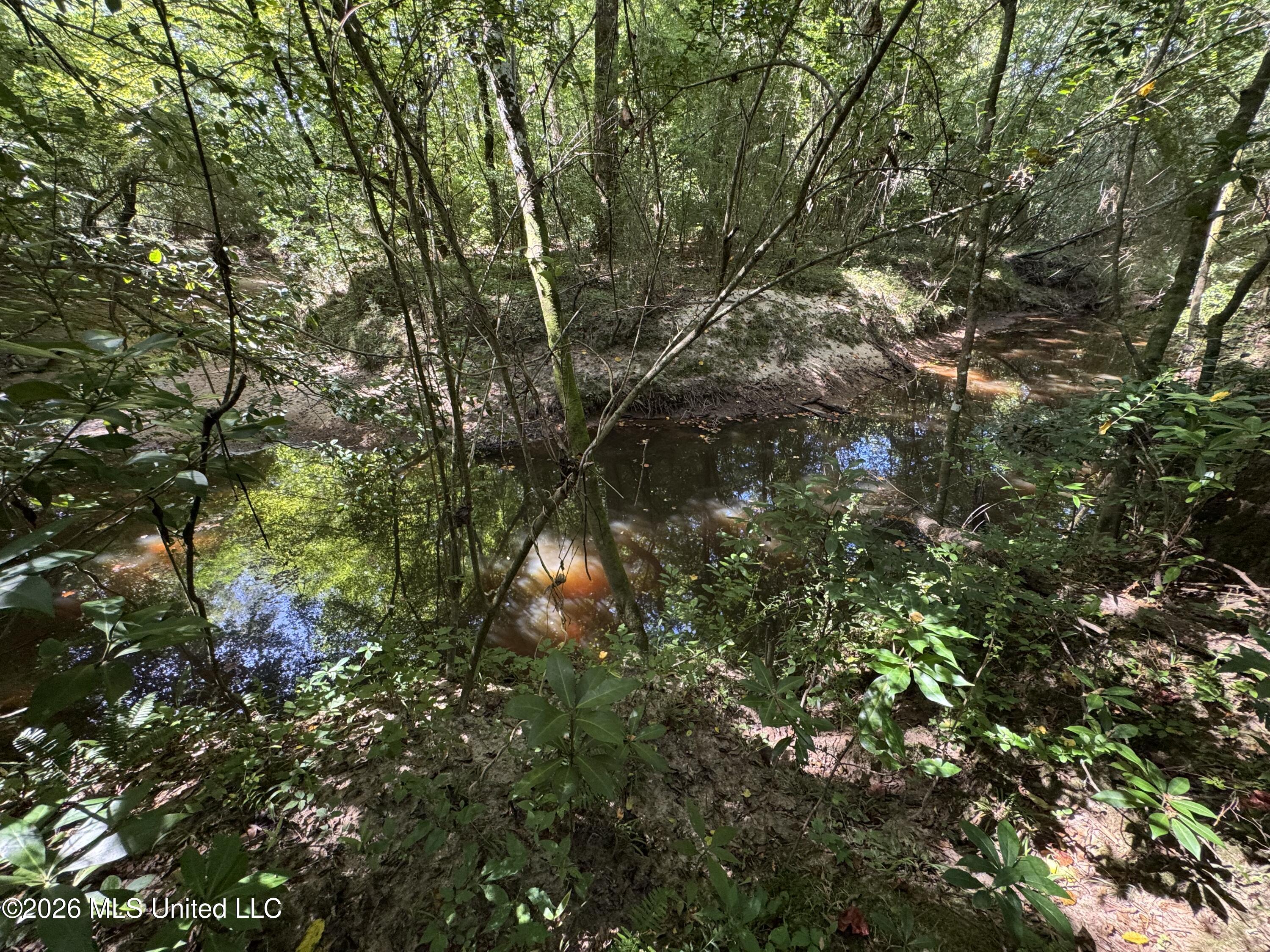 32 A Sauls Road Ruth, MS 39662 - Photo 22 of 22 Land-for-sale-Ruth-MS (22)