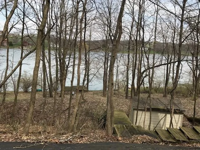 a view of a yard with a trees