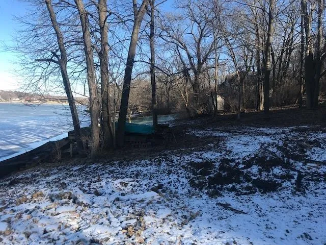 a view of a yard with a tree